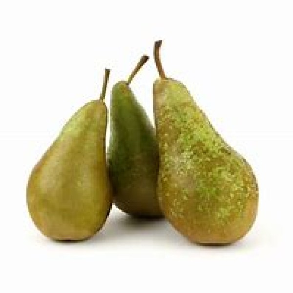 Conference Pear