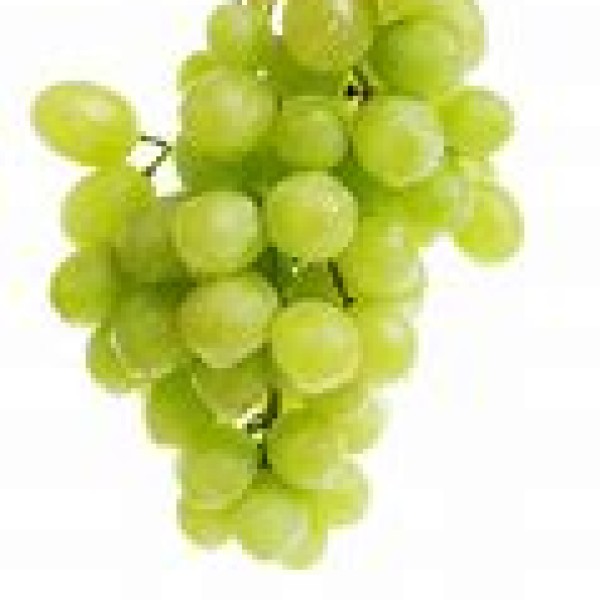 White Grapes