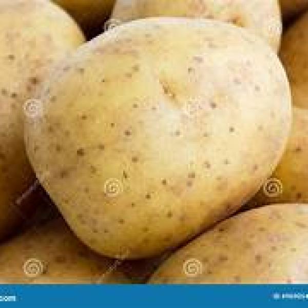 20kg Washed Potatoes