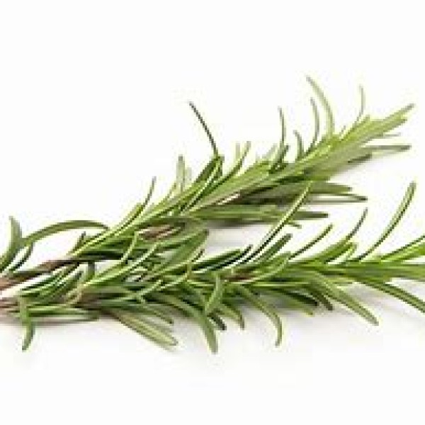 Rosemary