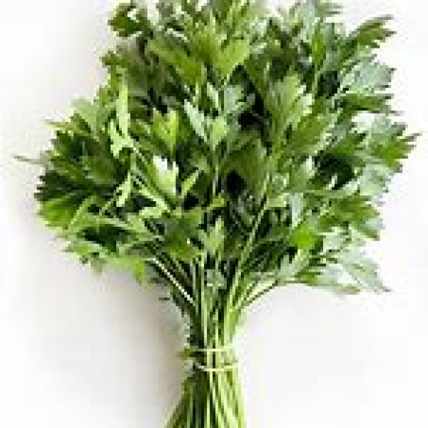 Flat Parsley