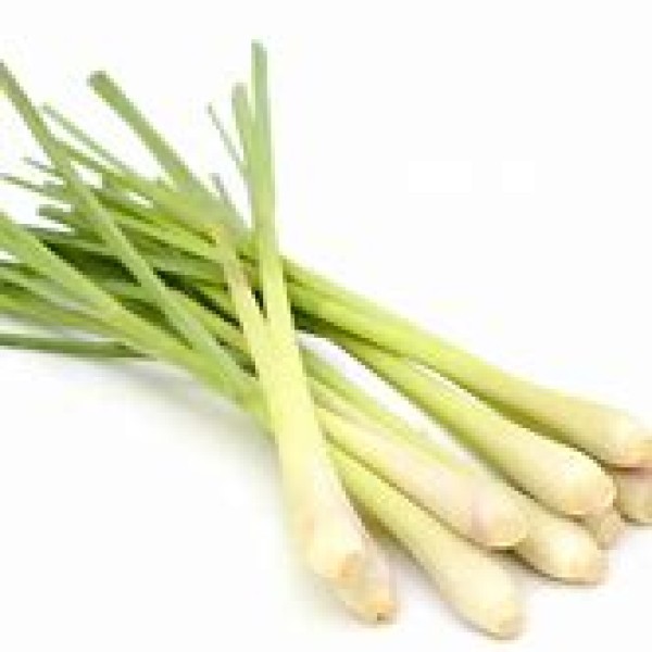 Lemon Grass
