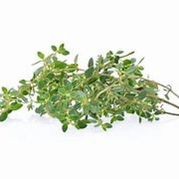 Lemon Thyme