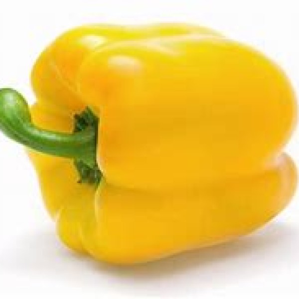 Yellow Pepper