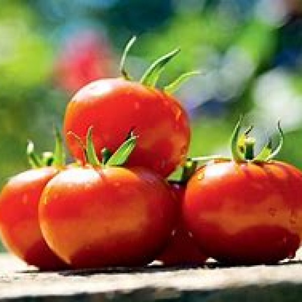 Salad Tomatoes 250g