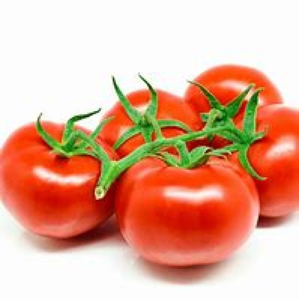 Vine Tomatoes