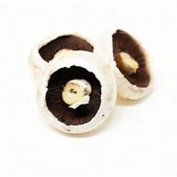 Flat Mushrooms Punnet average 6