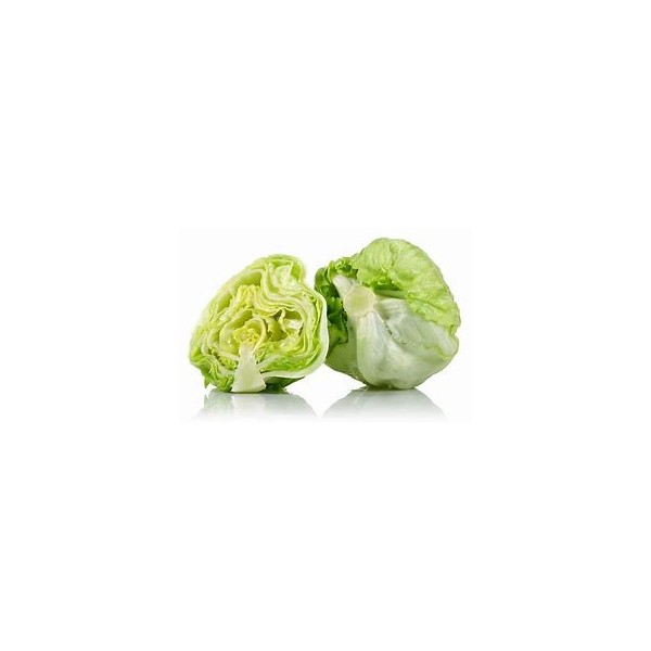 Iceburg Lettuce