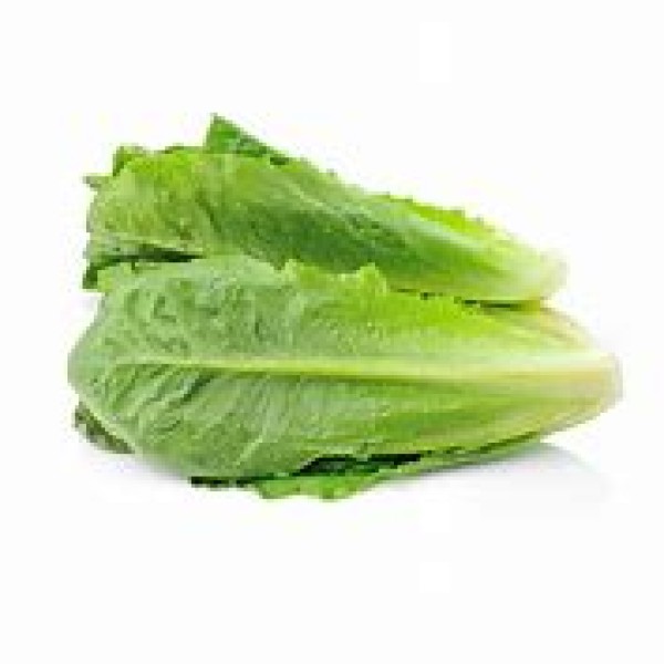 Cos Lettuce