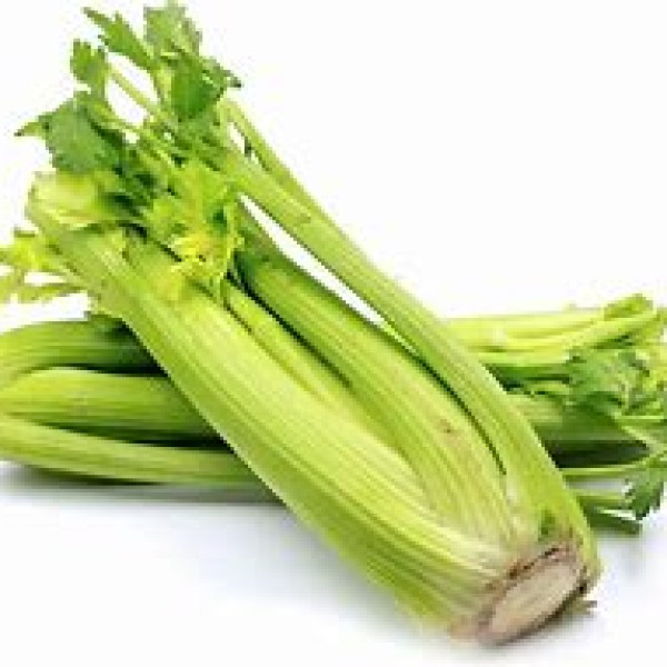 Celery