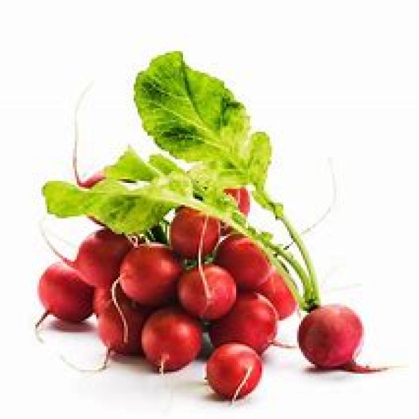 Radish