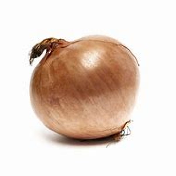 Sweet Spanish Onion