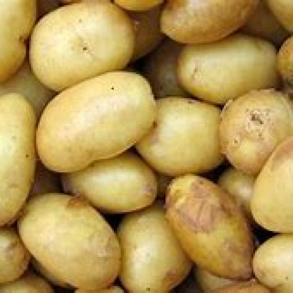 Salad Potatoes- 500g