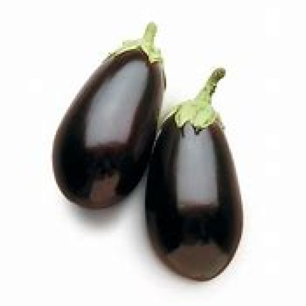 Aubergine