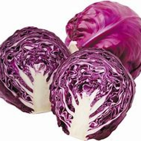 Red Cabbage