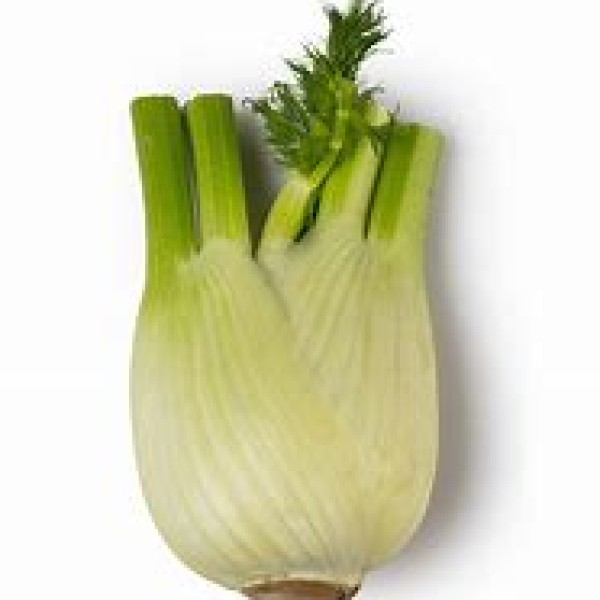 Fennel