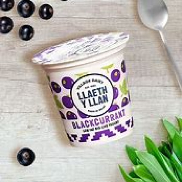 Black Cherry Yogurt