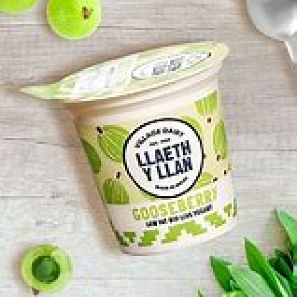 Gooseberry Yogurt