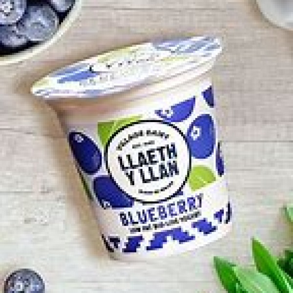 Blueberry Yogurt