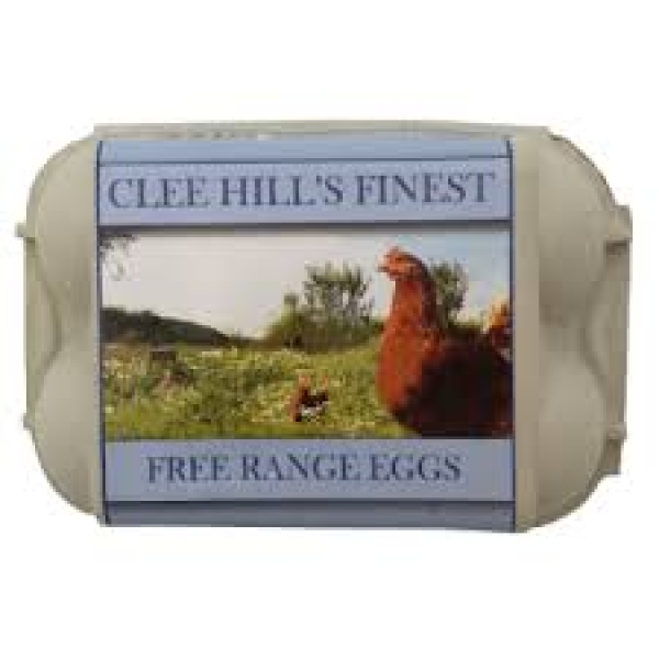  6 Eggs